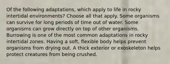 Of the following adaptations, which apply to life in rocky intertidal environments? Choose all that apply. Some organisms can survive for long periods of time out of water. Some organisms can grow directly on top of other organisms. Burrowing is one of the most common adaptations in rocky intertidal zones. Having a soft, flexible body helps prevent organisms from drying out. A thick exterior or exoskeleton helps protect creatures from being crushed.