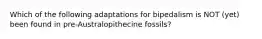 Which of the following adaptations for bipedalism is NOT (yet) been found in pre-Australopithecine fossils?