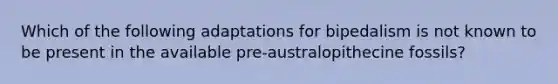 Which of the following adaptations for bipedalism is not known to be present in the available pre-australopithecine fossils?