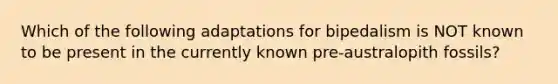 Which of the following adaptations for bipedalism is NOT known to be present in the currently known pre-australopith fossils?