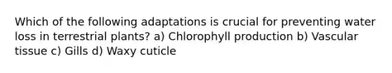 Which of the following adaptations is crucial for preventing water loss in terrestrial plants? a) Chlorophyll production b) <a href='https://www.questionai.com/knowledge/k1HVFq17mo-vascular-tissue' class='anchor-knowledge'>vascular tissue</a> c) Gills d) Waxy cuticle