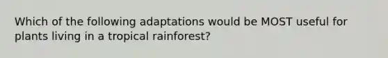 Which of the following adaptations would be MOST useful for plants living in a tropical rainforest?