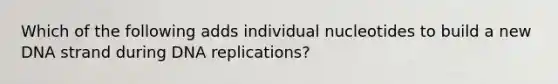 Which of the following adds individual nucleotides to build a new DNA strand during DNA replications?