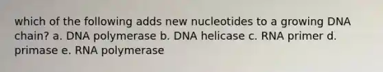 which of the following adds new nucleotides to a growing DNA chain? a. DNA polymerase b. DNA helicase c. RNA primer d. primase e. RNA polymerase