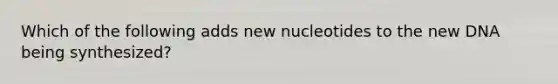 Which of the following adds new nucleotides to the new DNA being synthesized?