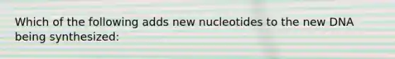 Which of the following adds new nucleotides to the new DNA being synthesized: