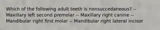 Which of the following adult teeth is nonsuccedaneous? -- Maxillary left second premolar -- Maxillary right canine -- Mandibular right first molar -- Mandibular right lateral incisor