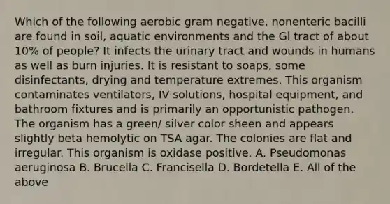 Which of the following aerobic gram negative, nonenteric bacilli are found in soil, aquatic environments and the Gl tract of about 10% of people? It infects the urinary tract and wounds in humans as well as burn injuries. It is resistant to soaps, some disinfectants, drying and temperature extremes. This organism contaminates ventilators, IV solutions, hospital equipment, and bathroom fixtures and is primarily an opportunistic pathogen. The organism has a green/ silver color sheen and appears slightly beta hemolytic on TSA agar. The colonies are flat and irregular. This organism is oxidase positive. A. Pseudomonas aeruginosa B. Brucella C. Francisella D. Bordetella E. All of the above