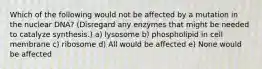 Which of the following would not be affected by a mutation in the nuclear DNA? (Disregard any enzymes that might be needed to catalyze synthesis.) a) lysosome b) phospholipid in cell membrane c) ribosome d) All would be affected e) None would be affected