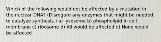 Which of the following would not be affected by a mutation in the nuclear DNA? (Disregard any enzymes that might be needed to catalyze synthesis.) a) lysosome b) phospholipid in cell membrane c) ribosome d) All would be affected e) None would be affected