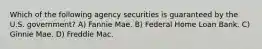 Which of the following agency securities is guaranteed by the U.S. government? A) Fannie Mae. B) Federal Home Loan Bank. C) Ginnie Mae. D) Freddie Mac.