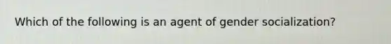 Which of the following is an agent of gender socialization?