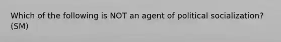 Which of the following is NOT an agent of <a href='https://www.questionai.com/knowledge/kcddeKilOR-political-socialization' class='anchor-knowledge'>political socialization</a>? (SM)