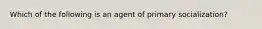 Which of the following is an agent of primary socialization?