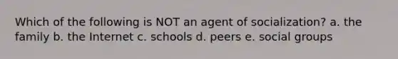 Which of the following is NOT an agent of socialization? a. the family b. the Internet c. schools d. peers e. social groups