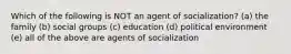 Which of the following is NOT an agent of socialization? (a) the family (b) social groups (c) education (d) political environment (e) all of the above are agents of socialization