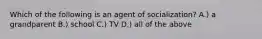 Which of the following is an agent of socialization? A.) a grandparent B.) school C.) TV D.) all of the above