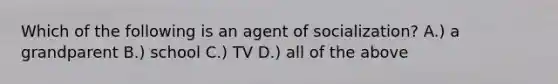 Which of the following is an agent of socialization? A.) a grandparent B.) school C.) TV D.) all of the above