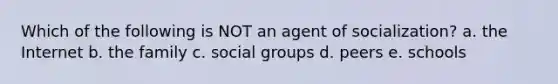 Which of the following is NOT an agent of socialization? a. the Internet b. the family c. social groups d. peers e. schools