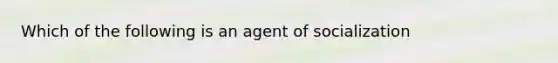 Which of the following is an agent of socialization