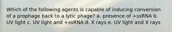 Which of the following agents is capable of inducing conversion of a prophage back to a lytic phage? a. presence of +ssRNA b. UV light c. UV light and +ssRNA d. X rays e. UV light and X rays