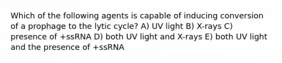 Which of the following agents is capable of inducing conversion of a prophage to the lytic cycle? A) UV light B) X-rays C) presence of +ssRNA D) both UV light and X-rays E) both UV light and the presence of +ssRNA