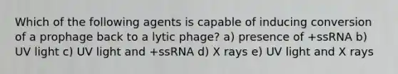 Which of the following agents is capable of inducing conversion of a prophage back to a lytic phage? a) presence of +ssRNA b) UV light c) UV light and +ssRNA d) X rays e) UV light and X rays