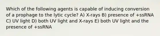 Which of the following agents is capable of inducing conversion of a prophage to the lytic cycle? A) X-rays B) presence of +ssRNA C) UV light D) both UV light and X-rays E) both UV light and the presence of +ssRNA