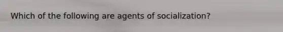 Which of the following are agents of socialization?