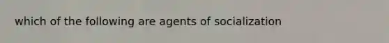 which of the following are agents of socialization