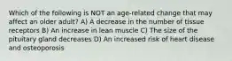 Which of the following is NOT an age-related change that may affect an older adult? A) A decrease in the number of tissue receptors B) An increase in lean muscle C) The size of the pituitary gland decreases D) An increased risk of heart disease and osteoporosis