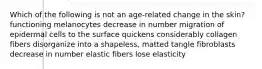 Which of the following is not an age-related change in the skin? functioning melanocytes decrease in number migration of epidermal cells to the surface quickens considerably collagen fibers disorganize into a shapeless, matted tangle fibroblasts decrease in number elastic fibers lose elasticity