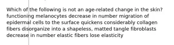 Which of the following is not an age-related change in the skin? functioning melanocytes decrease in number migration of epidermal cells to the surface quickens considerably collagen fibers disorganize into a shapeless, matted tangle fibroblasts decrease in number elastic fibers lose elasticity