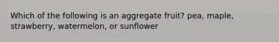 Which of the following is an aggregate fruit? pea, maple, strawberry, watermelon, or sunflower