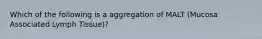 Which of the following is a aggregation of MALT (Mucosa Associated Lymph Tissue)?