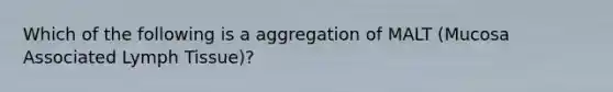 Which of the following is a aggregation of MALT (Mucosa Associated Lymph Tissue)?