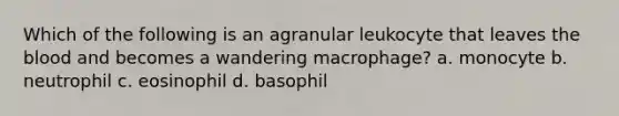 Which of the following is an agranular leukocyte that leaves the blood and becomes a wandering macrophage? a. monocyte b. neutrophil c. eosinophil d. basophil