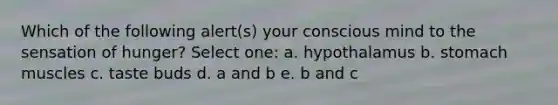 Which of the following alert(s) your conscious mind to the sensation of hunger? Select one: a. hypothalamus b. stomach muscles c. taste buds d. a and b e. b and c