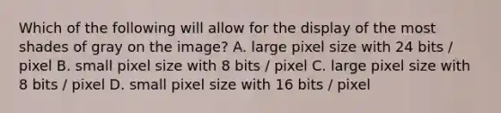 Which of the following will allow for the display of the most shades of gray on the image? A. large pixel size with 24 bits / pixel B. small pixel size with 8 bits / pixel C. large pixel size with 8 bits / pixel D. small pixel size with 16 bits / pixel