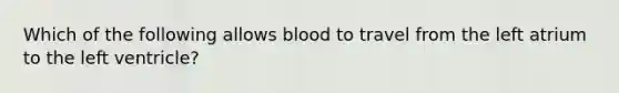 Which of the following allows blood to travel from the left atrium to the left ventricle?