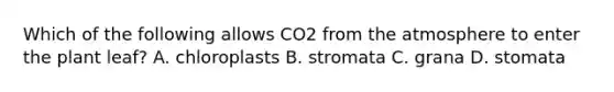 Which of the following allows CO2 from the atmosphere to enter the plant leaf? A. chloroplasts B. stromata C. grana D. stomata