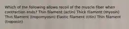 Which of the following allows recoil of the muscle fiber when contraction ends? Thin filament (actin) Thick filament (myosin) Thin filament (tropomyosin) Elastic filament (titin) Thin filament (troponin)