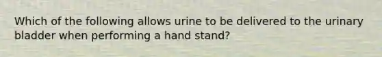 Which of the following allows urine to be delivered to the urinary bladder when performing a hand stand?