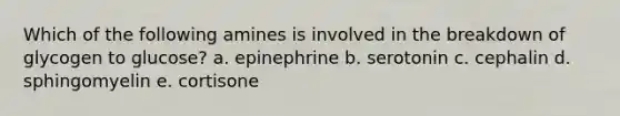 Which of the following amines is involved in the breakdown of glycogen to glucose? a. epinephrine b. serotonin c. cephalin d. sphingomyelin e. cortisone