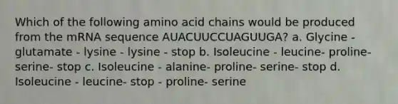 Which of the following amino acid chains would be produced from the mRNA sequence AUACUUCCUAGUUGA? a. Glycine - glutamate - lysine - lysine - stop b. Isoleucine - leucine- proline- serine- stop c. Isoleucine - alanine- proline- serine- stop d. Isoleucine - leucine- stop - proline- serine