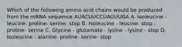 Which of the following amino acid chains would be produced from the mRNA sequence AUACUUCCUAGUUGA A. Isoleucine - leucine- proline- serine- stop B. Isoleucine - leucine- stop - proline- serine C. Glycine - glutamate - lysine - lysine - stop D. Isoleucine - alanine- proline- serine- stop