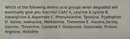 Which of the following Amino acid groups when degraded will eventually give you Succinyl CoA? A. Leucine & Lysine B. Asparginine & Aspartate C. Phenylalanine, Tyrosine, Tryptophan D. Valine, Isoleucine, Methionine, Threonine E. Alanine,Serine, Glycine, Threonine, Cysteine F. Glutamine, Gutamate, Proline, Arginine, Histidine