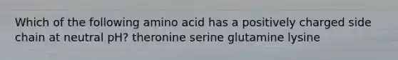 Which of the following amino acid has a positively charged side chain at neutral pH? theronine serine glutamine lysine