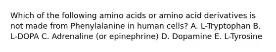 Which of the following amino acids or amino acid derivatives is not made from Phenylalanine in human cells? A. L-Tryptophan B. L-DOPA C. Adrenaline (or epinephrine) D. Dopamine E. L-Tyrosine