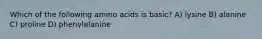 Which of the following amino acids is basic? A) lysine B) alanine C) proline D) phenylalanine